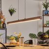 Carbellino pendant light LED dark brown, black, 1-light source