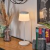 Algeraz Outdoor table lamp, table lamp LED white, 1-light source