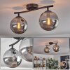 Gastor ceiling light Smoke-coloured, 2-light sources