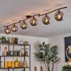 Gastor ceiling light, globe light chrome, Smoke-coloured, 6-light sources