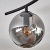 Gastor ceiling light, globe light chrome, Smoke-coloured, 6-light sources