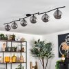 Gastor ceiling light, globe light chrome, Smoke-coloured, 6-light sources