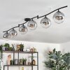 Gastor ceiling light, globe light chrome, clear, Smoke-coloured, 6-light sources