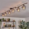 Gastor ceiling light, globe light chrome, clear, Smoke-coloured, 6-light sources