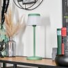 Algeraz Outdoor table lamp, table lamp LED green, 1-light source