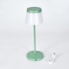 Algeraz Outdoor table lamp, table lamp LED green, 1-light source