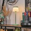 Algeraz Outdoor table lamp, table lamp LED green, 1-light source