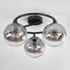 Gastor ceiling light, globe light clear, Smoke-coloured, 3-light sources