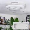 Benesal ceiling light, Ceiling fan light LED white, 1-light source, Remote control