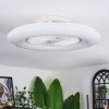 Benesal ceiling light, Ceiling fan light LED white, 1-light source, Remote control