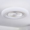 Benesal ceiling light, Ceiling fan light LED white, 1-light source, Remote control