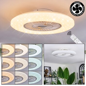 Benesal ceiling light, Ceiling fan light LED white, 1-light source, Remote control