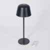 Asen Outdoor table lamp, table lamp LED black, 1-light source