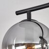 Gastor ceiling light, globe light clear, Smoke-coloured, 4-light sources