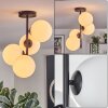 Gastor ceiling light, globe light transparent, 4-light sources