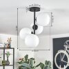 Gastor ceiling light, globe light transparent, 4-light sources