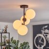 Gastor ceiling light, globe light transparent, 4-light sources