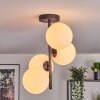 Gastor ceiling light, globe light transparent, 4-light sources