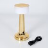 Gallboda table lamp LED brass, 1-light source