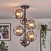 Gastor ceiling light, globe light chrome, Smoke-coloured, 6-light sources