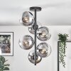 Gastor ceiling light, globe light chrome, Smoke-coloured, 6-light sources