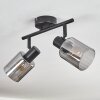 Aggebu ceiling light black, 2-light sources