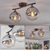 Gastor ceiling light, globe light clear, Smoke-coloured, 2-light sources