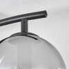 Gastor ceiling light, globe light clear, Smoke-coloured, 2-light sources