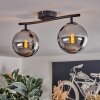 Gastor ceiling light, globe light chrome, Smoke-coloured, 2-light sources