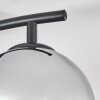 Gastor ceiling light, globe light chrome, Smoke-coloured, 2-light sources