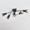 Medelim ceiling light clear, Smoke-coloured, 5-light sources