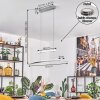 Casalino hanging light, pendant light LED chrome, 1-light source