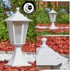 Loria pedestal light white, 1-light source