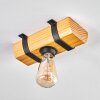 Skads ceiling light, ceiling spotlight Ecru, black, 1-light source