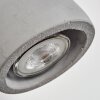 Lomma wall light, wall spotlight brushed steel, 1-light source