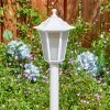 Loria path light white, 1-light source