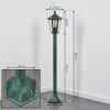 Loria path light green, black, 1-light source