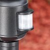 Loria outdoor light, path light black, 1-light source, Motion sensor