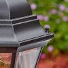 Etoe outdoor light, pedestal light, path light black, 1-light source