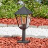 Anfei outdoor light, pedestal light, path light black, 1-light source