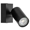 Ledvance Lights Spot ceiling light LED black, 1-light source