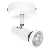 Ledvance Lights Spot ceiling light LED white, 1-light source