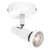 Ledvance Lights Spot ceiling light LED white, 1-light source