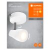 Ledvance Lights Spot ceiling light LED white, 1-light source