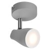 Ledvance Lights Spot ceiling light LED grey, 1-light source