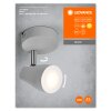 Ledvance Lights Spot ceiling light LED grey, 1-light source