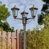 Loria outdoor light, lamp post, path light brown, gold, 3-light sources