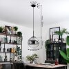 Gastor hanging light, globe light clear, Smoke-coloured, 1-light source