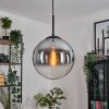 Gastor hanging light, globe light clear, Smoke-coloured, 1-light source