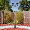 Anfei outdoor light, lamp post, path light gold, black, 2-light sources